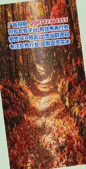 高青代妈品牌策划工作室
